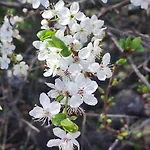 Niezla Szopka Domki Nad Jeziorem Kemping *