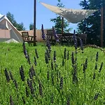 キャンプ場 Niezla Szopka Domki Nad Jeziorem ノベ・グティ